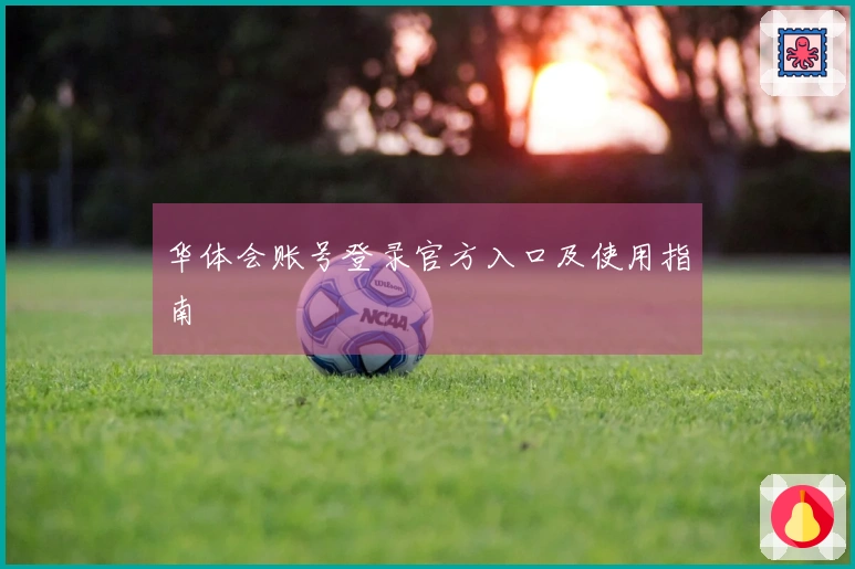 华体会账号登录官方入口及使用指南