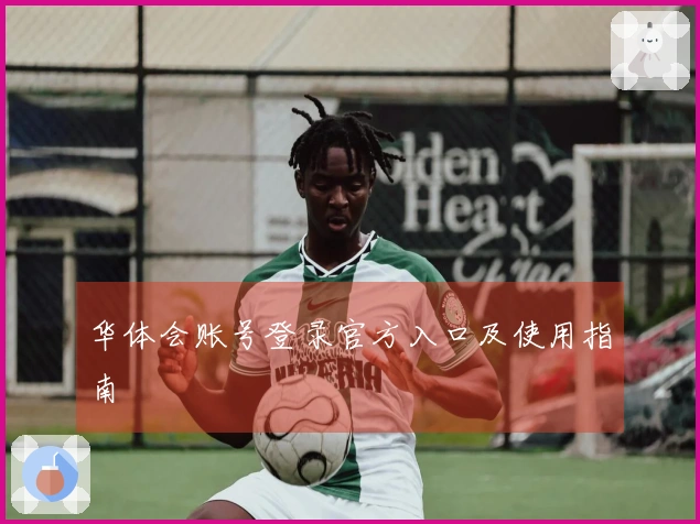 华体会账号登录官方入口及使用指南