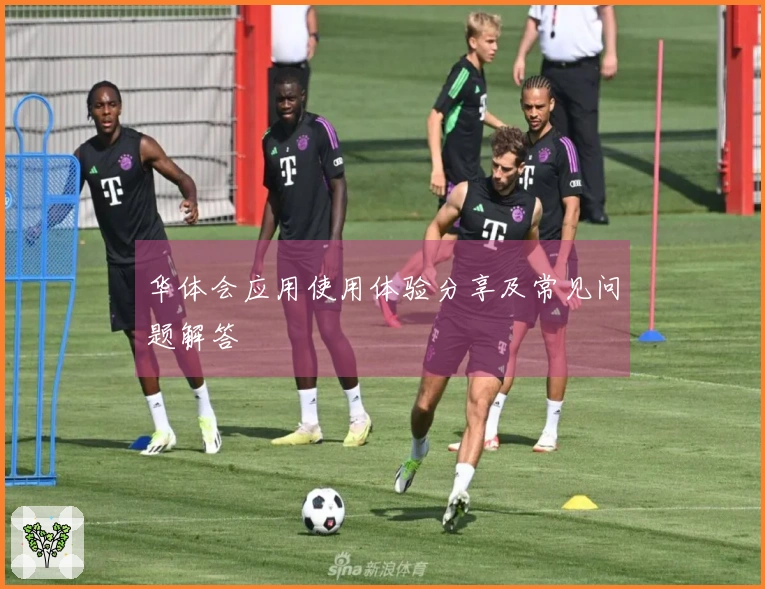 华体会应用使用体验分享及常见问题解答